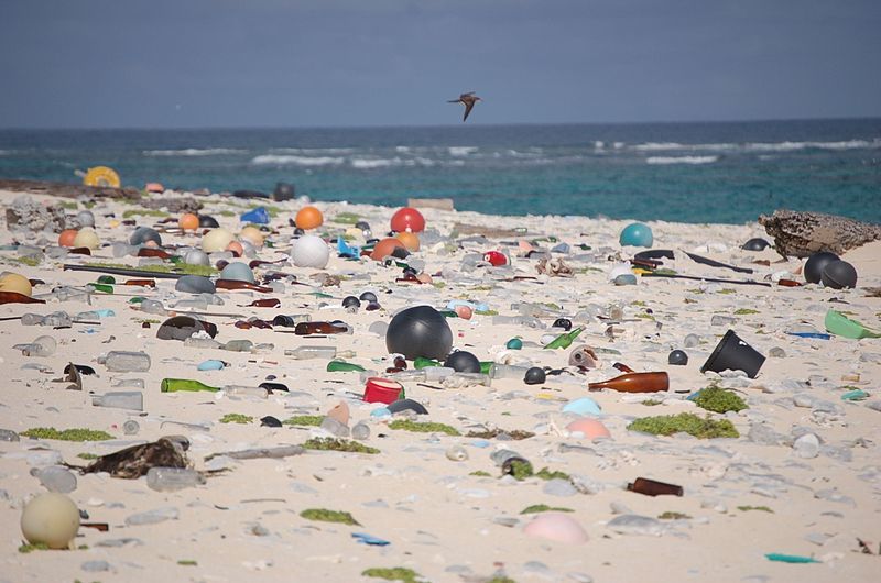 Photo of A Young Man From New Delhi Is All Set To Tour South-East Asia To Spread Awareness On Plastic Use! 1/3 by Saumiabee