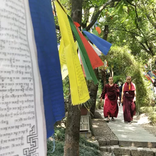 Photo of Norbulingka institute, Sidhpur, Himachal Pradesh, India by Saumiabee