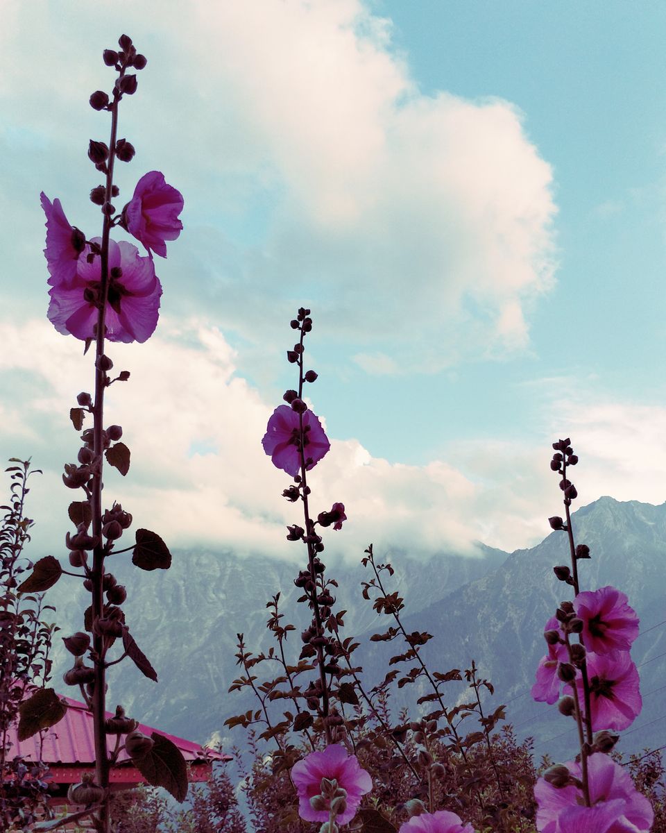 Photo of Addicted to Posting on Instagram? Here Are A Few Free Editing Apps That You Need In Your Life 18/20 by Saumiabee