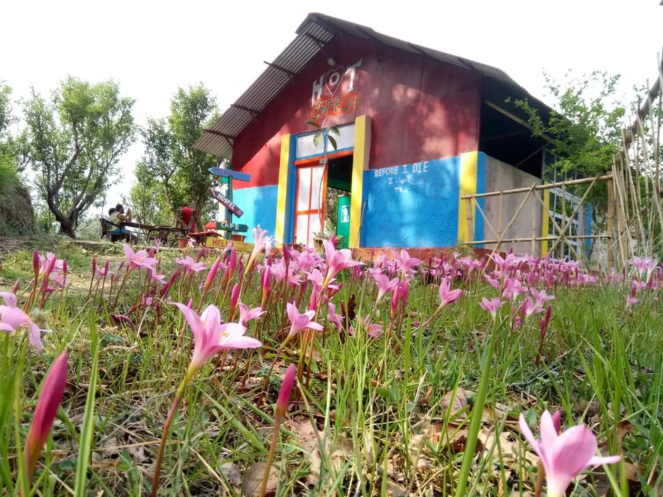 Photo of Hots Hostels, Jeolikote, Uttarakhand, India by Saumiabee