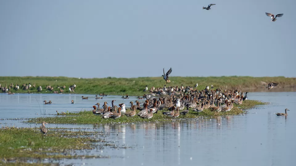 Photo of Lakh Bahosi Bird Sanctuary, Kannauj, Uttar Pradesh, India by Saumiabee