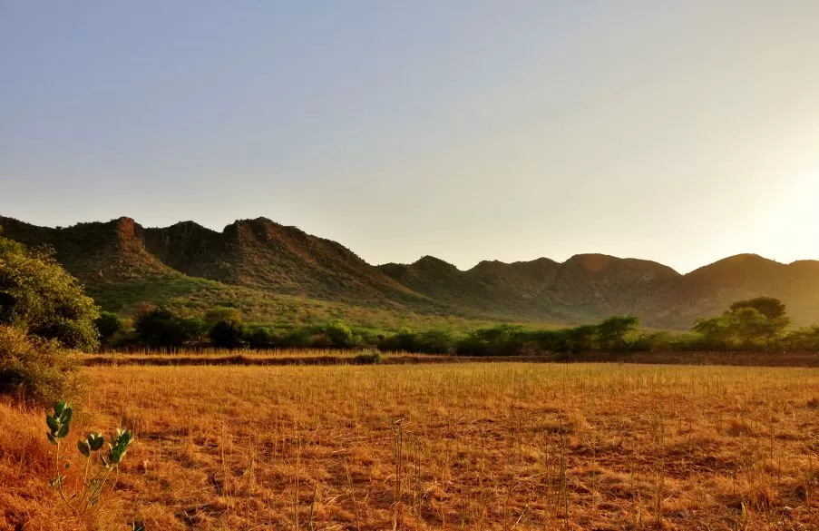Photo of Tired Of Mundane Weekend Getaways From Delhi? Try This Adventurous Camping Resort Instead! by Saumiabee