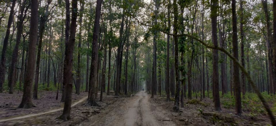 Photo of The Ugly Reality of Jim Corbett National Park That No One Will Tell You About 1/4 by Saumiabee