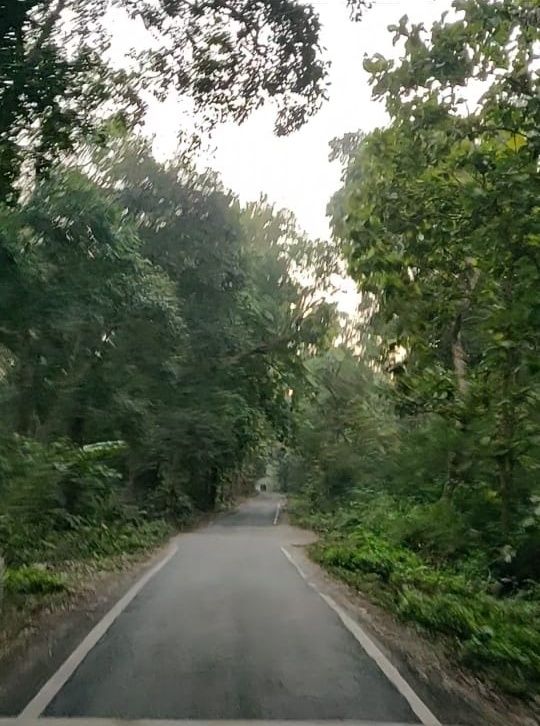 Photo of The Ugly Reality of Jim Corbett National Park That No One Will Tell You About 2/4 by Saumiabee