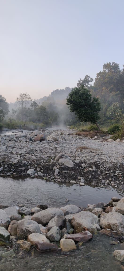Photo of The Ugly Reality of Jim Corbett National Park That No One Will Tell You About 3/4 by Saumiabee