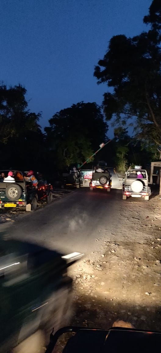 Photo of The Ugly Reality of Jim Corbett National Park That No One Will Tell You About 4/4 by Saumiabee