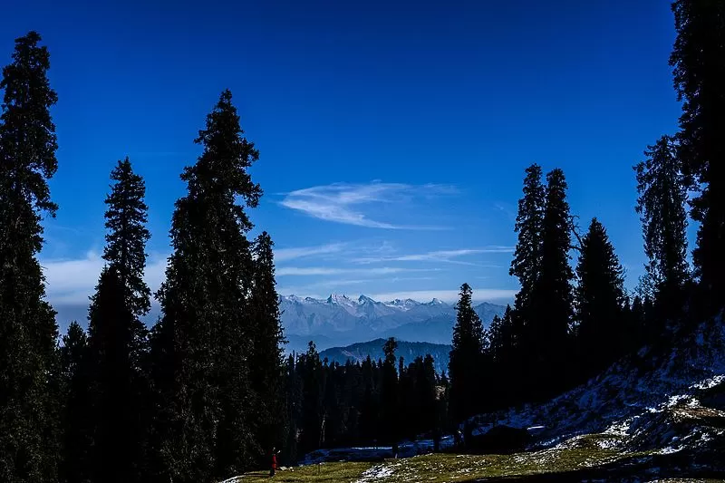 Photo of Hatu Peak, Himachal Pradesh by Saumiabee