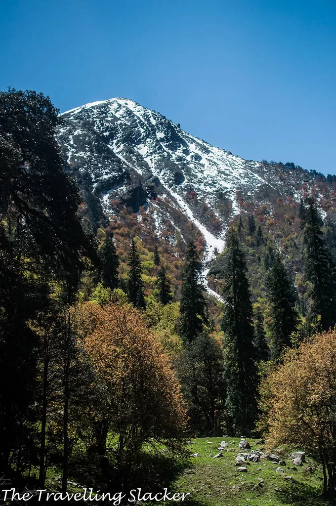 Photo of Bashleo Pass, Sarahan, Himachal Pradesh by Saumiabee