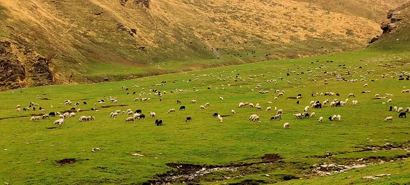 Photo of Rohru, Himachal Pradesh, India by Saumiabee