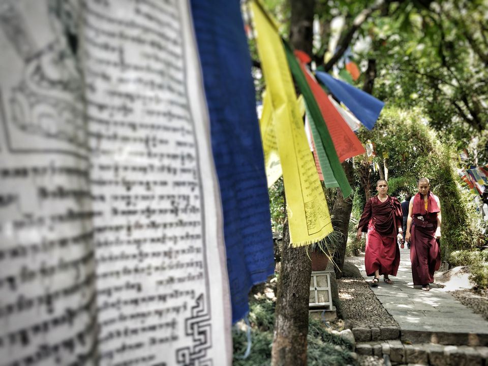 Photo of I Stayed in a Monastery to Escape My Stressful City Life and My Experience Changed Me Forever 2/6 by Saumiabee