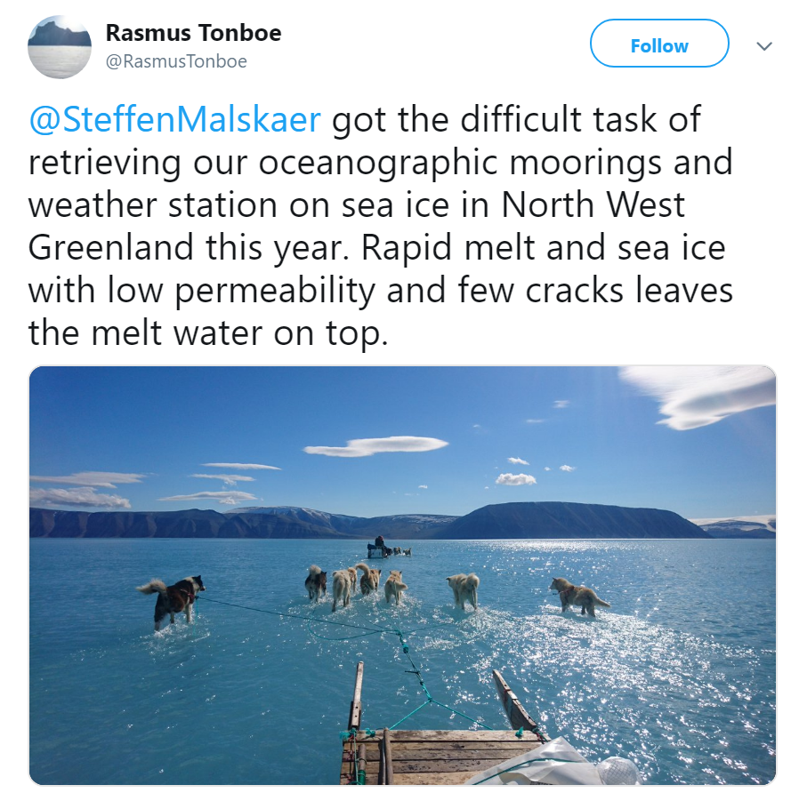 Photo of Greenland Loses 2 Billion Tons of Ice in One Day and Here's Why You Should Care 1/2 by Saumiabee
