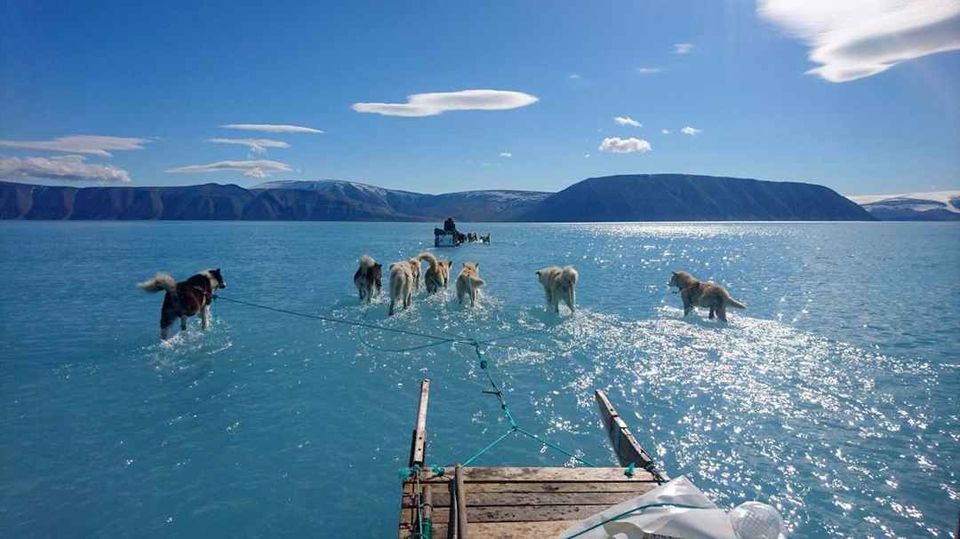 Photo of Greenland Loses 2 Billion Tons of Ice in One Day and Here's Why You Should Care by Saumiabee