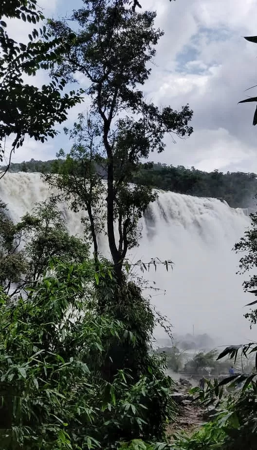 Photo of Athirapally Waterfalls, Pariyaram, Kerala by Saumiabee
