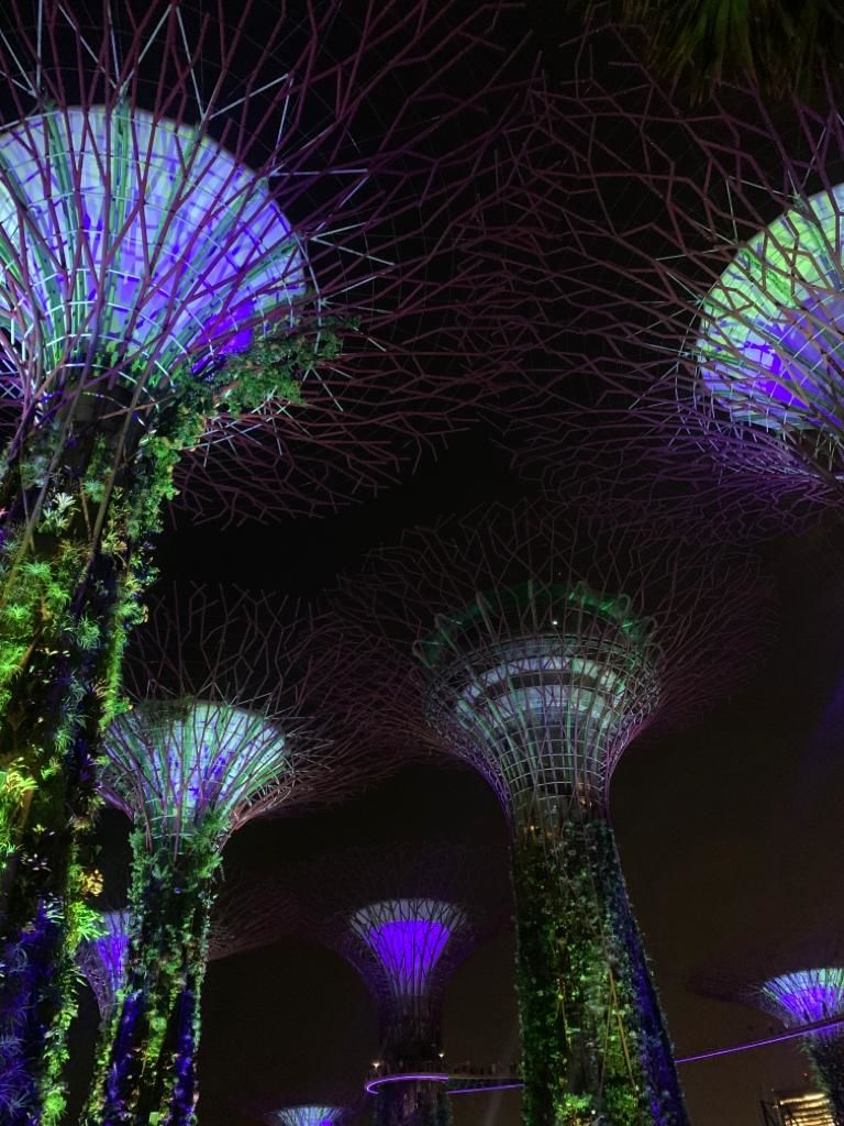 Photo of Here's How Roshni Bhatia Visited Singapore and Fell Irrevocably in Love With It! by Saumiabee