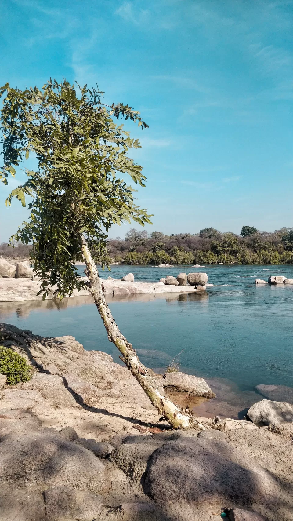 Photo of Hotel Bundelkhand Riverside, Madhya Pradesh State Highway 37, Kothi Ghat, Orchha, Madhya Pradesh, India by Saumiabee