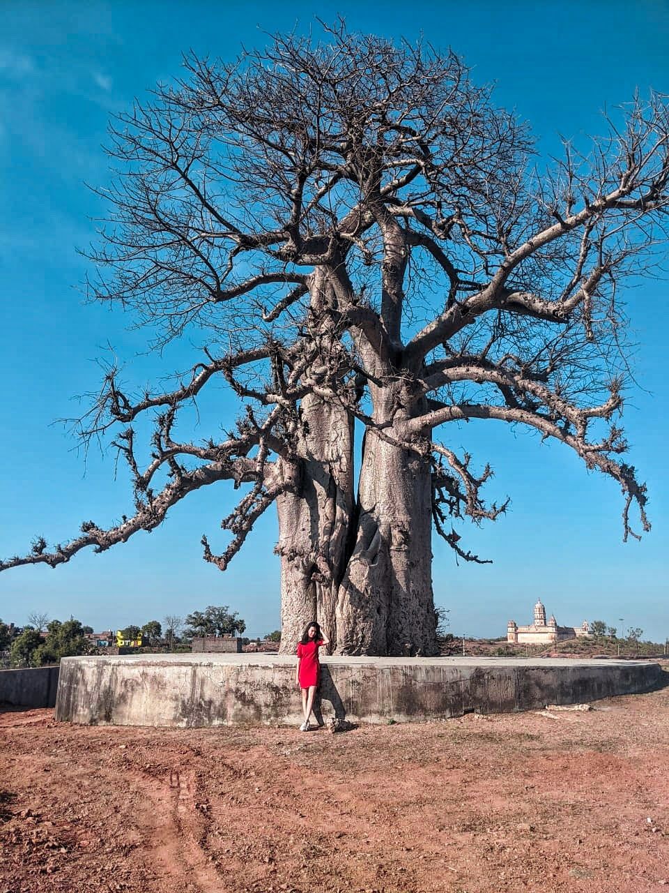 Photo of Just 5 Hours From Delhi,This Gorgeous Heritage Town Is Hiding in Plain Sight! by Saumiabee