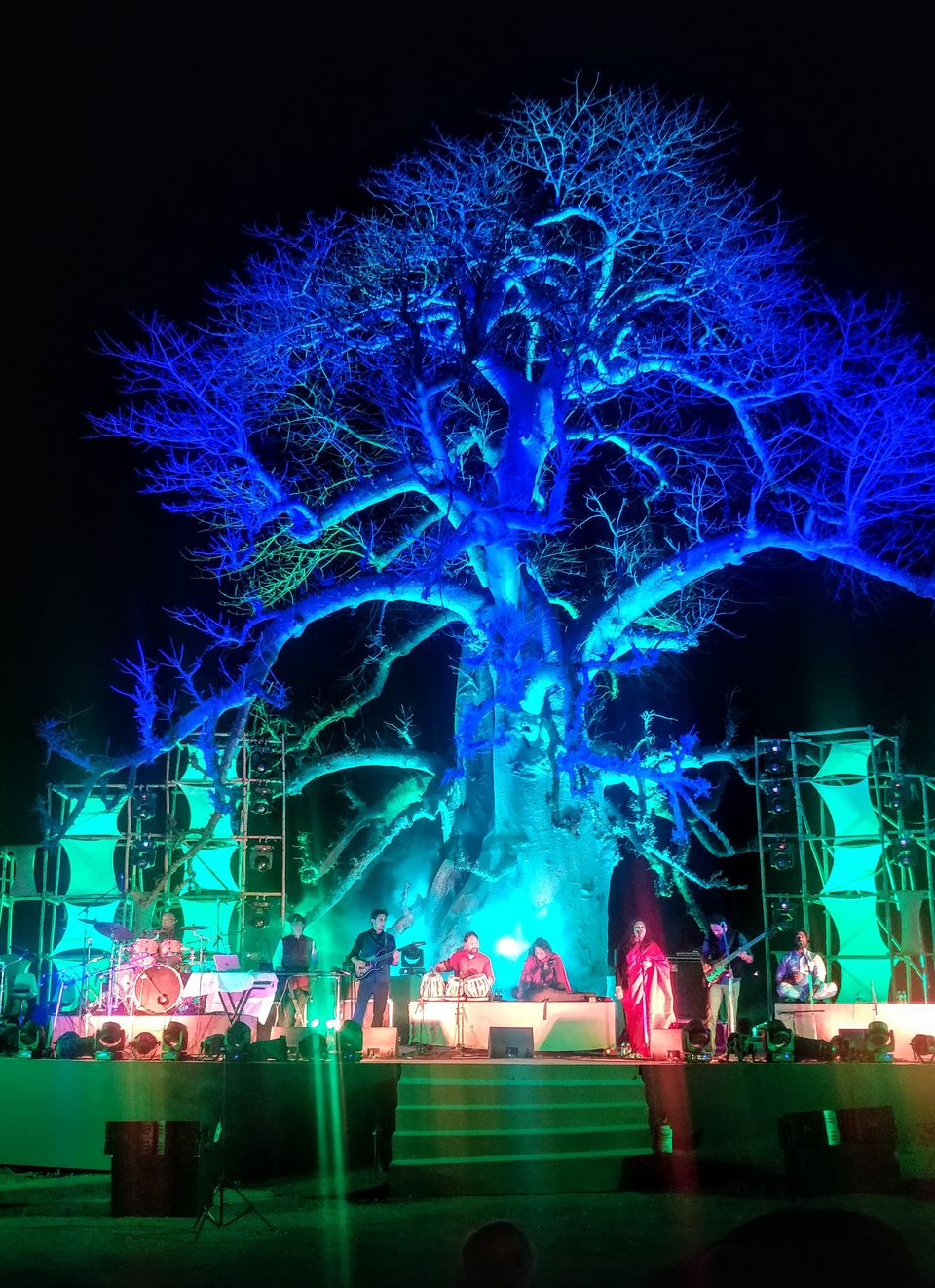 Photo of This Hidden Town in Madhya Pradesh Has a Majestic Lone Madagascar Tree That Will Leave You Stunned! 2/3 by Saumiabee