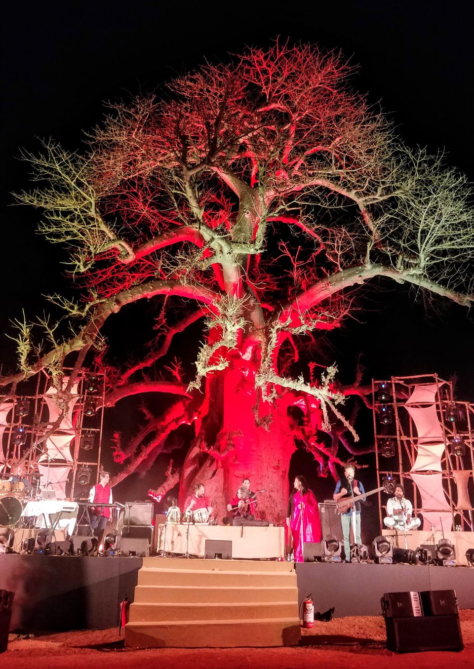 Photo of This Hidden Town in Madhya Pradesh Has a Majestic Lone Madagascar Tree That Will Leave You Stunned! 3/3 by Saumiabee