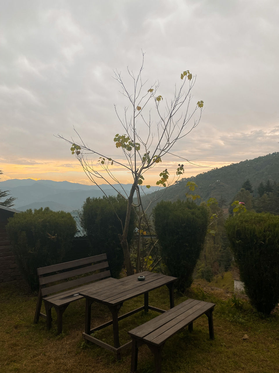 Photo of 9 Hours From Delhi, This Picturesque Homestay Offers Splendid Hospitality & a Workspace With a View! 4/13 by Saumiabee