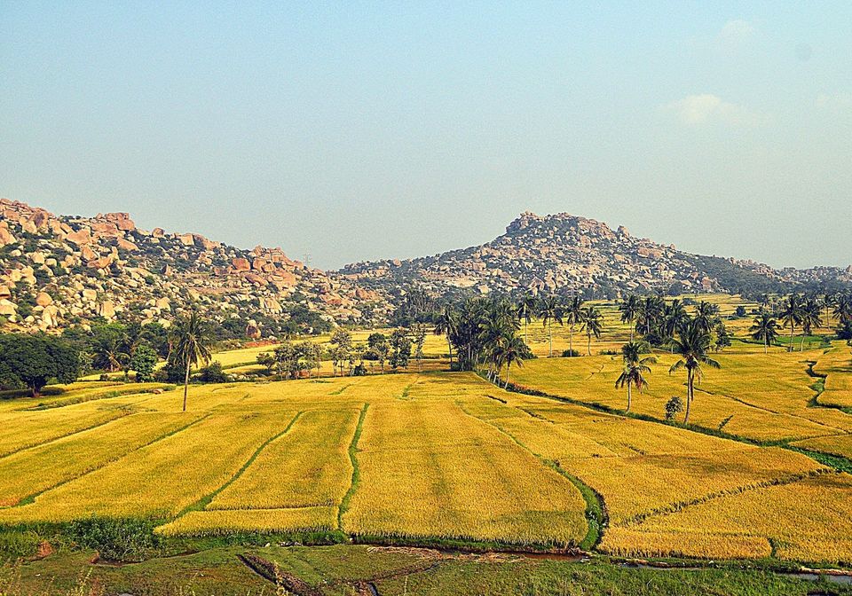 Photo of Hampi: Criss-crossing between History and Mythology 1/3 by Traveler's Lunchbox