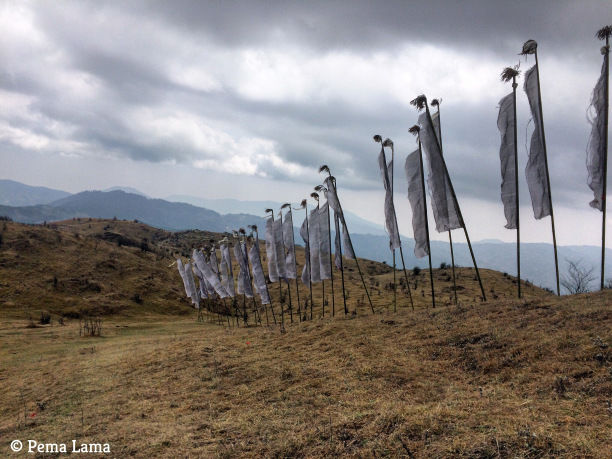 Photo of Trek to Sandakphu by Pema Lama