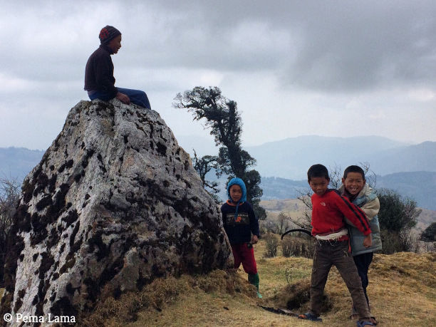 Photo of Trek to Sandakphu by Pema Lama