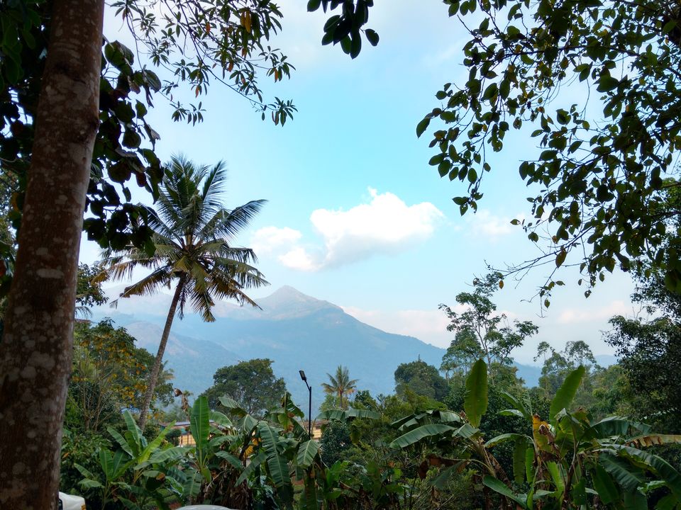 Photo of The Offbeat Kerala Travelogue by Shreya Gupta