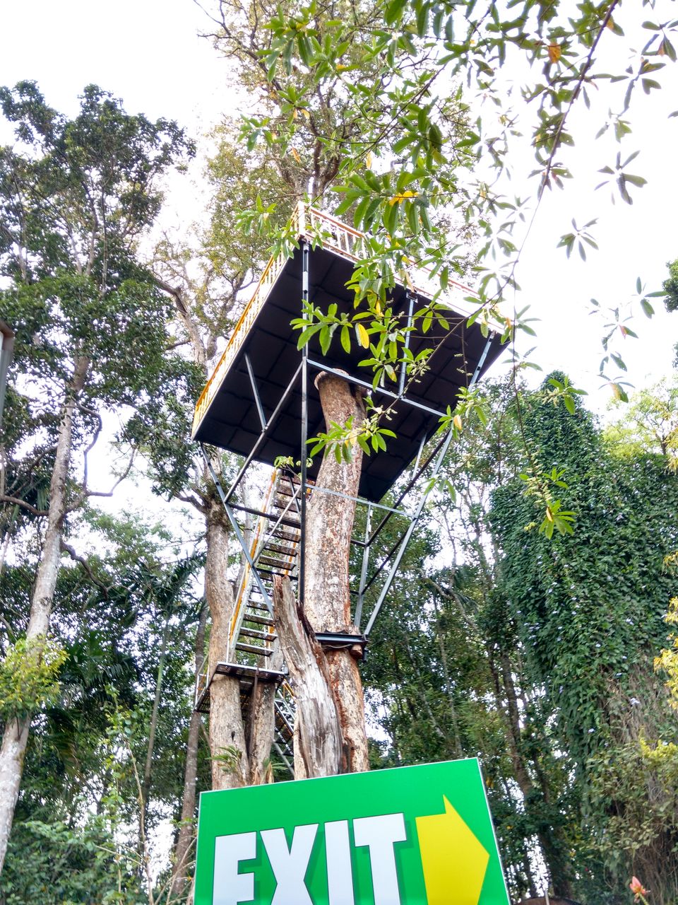 Photo of The Offbeat Kerala Travelogue by Shreya Gupta