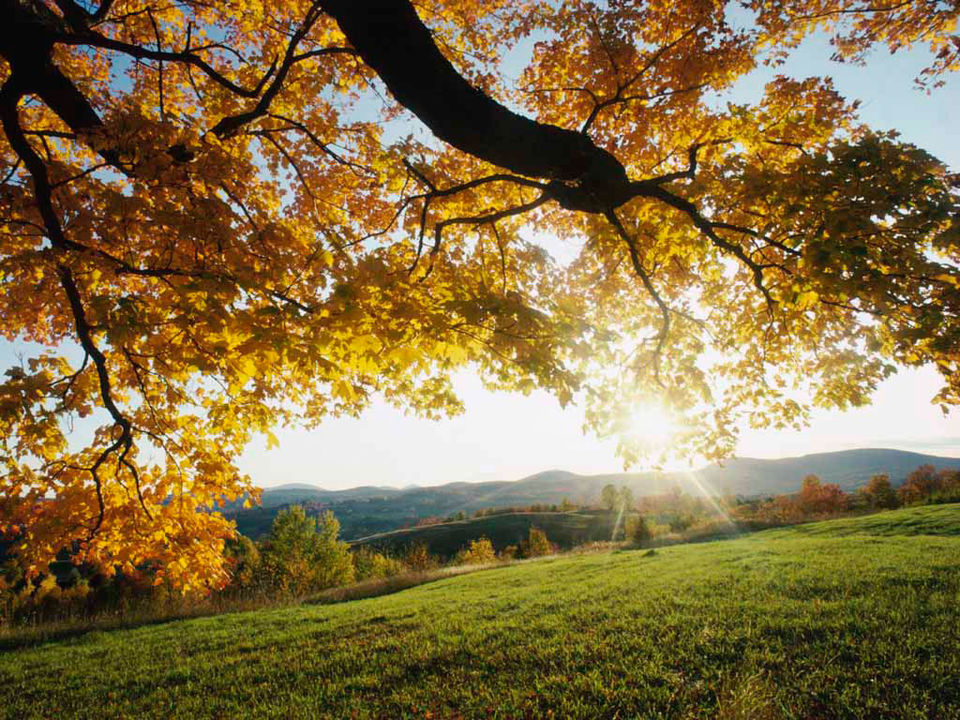 Photo of The 10 Best Places To Visit This August by Shreya Gupta
