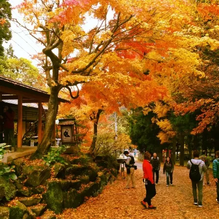 Photo of The 10 Best Places To Visit This August by Shreya Gupta