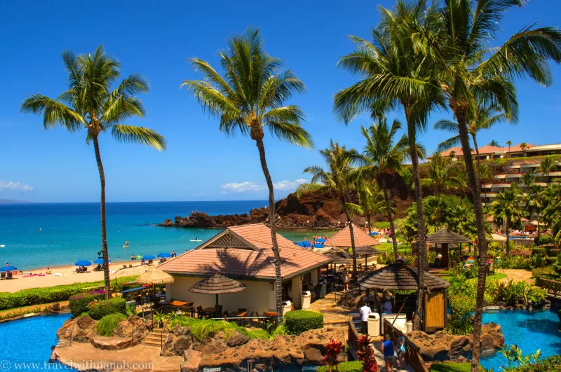 Photo of Maui, Maui County, HI, United States by Shreya Gupta