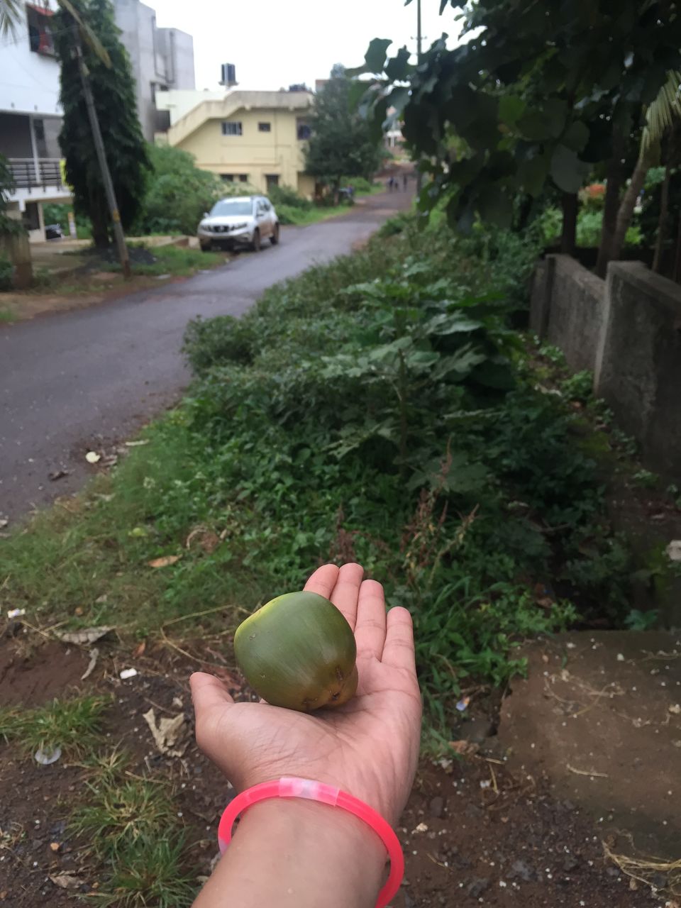 Photo of Chorla, Goa, India by sheena kaur