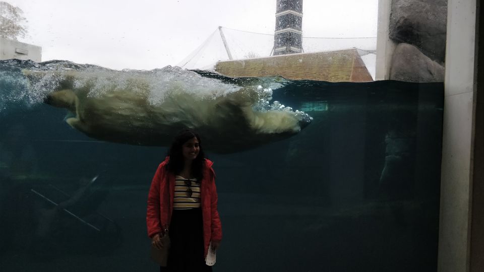 Photo of 5 reasons that makes Copenhagen so beautiful! 11/11 by Amruta Pagariya