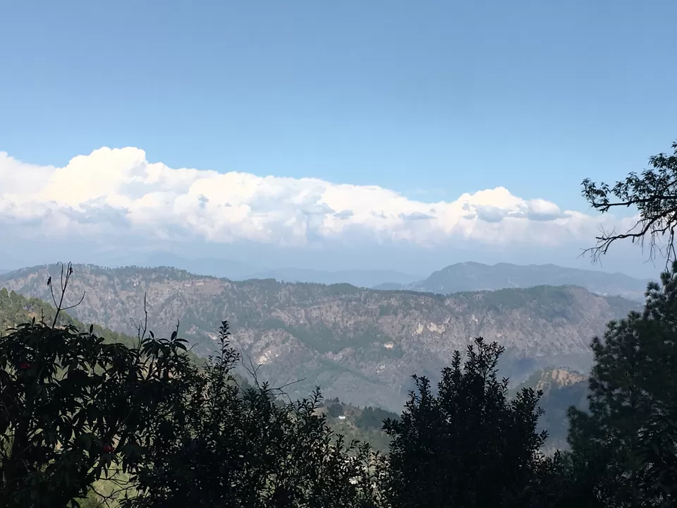 Photo of Binsar Wildlife Sanctuary, Binsar, Uttarakhand, India by Akhilesh Gannavarapu