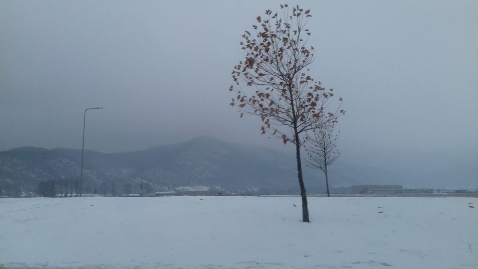 Photo of Romania - A Winter Wonderland by Pranav Harish
