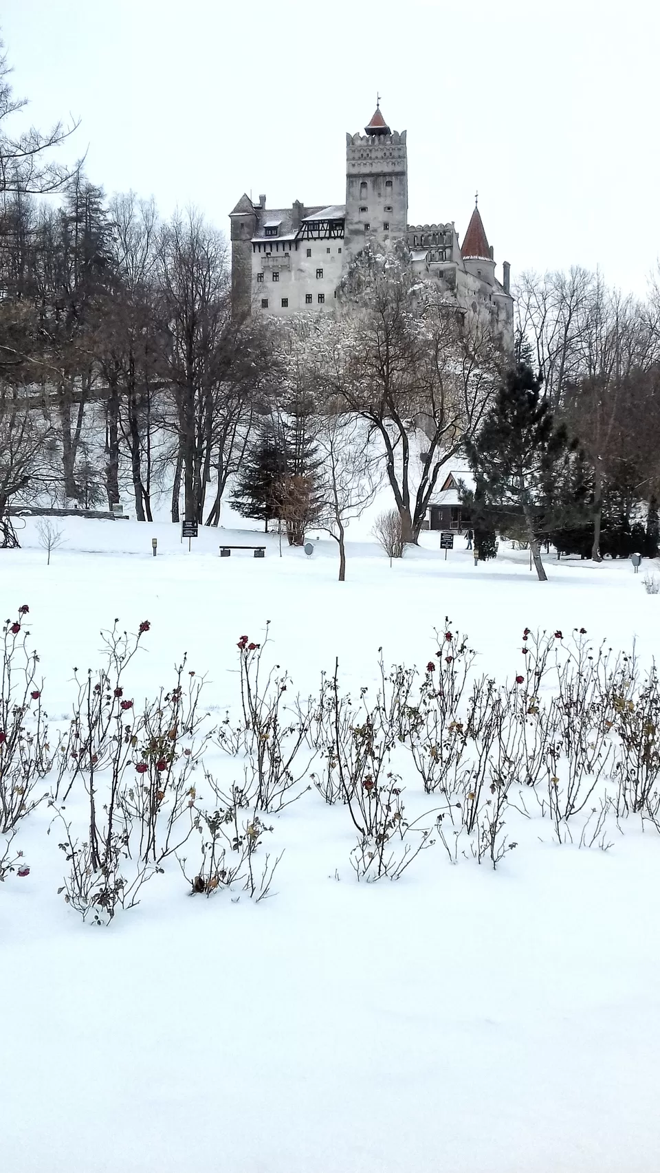 Photo of Bran Castle, Strada General Traian Moșoiu, Bran, Romania by Pranav Harish