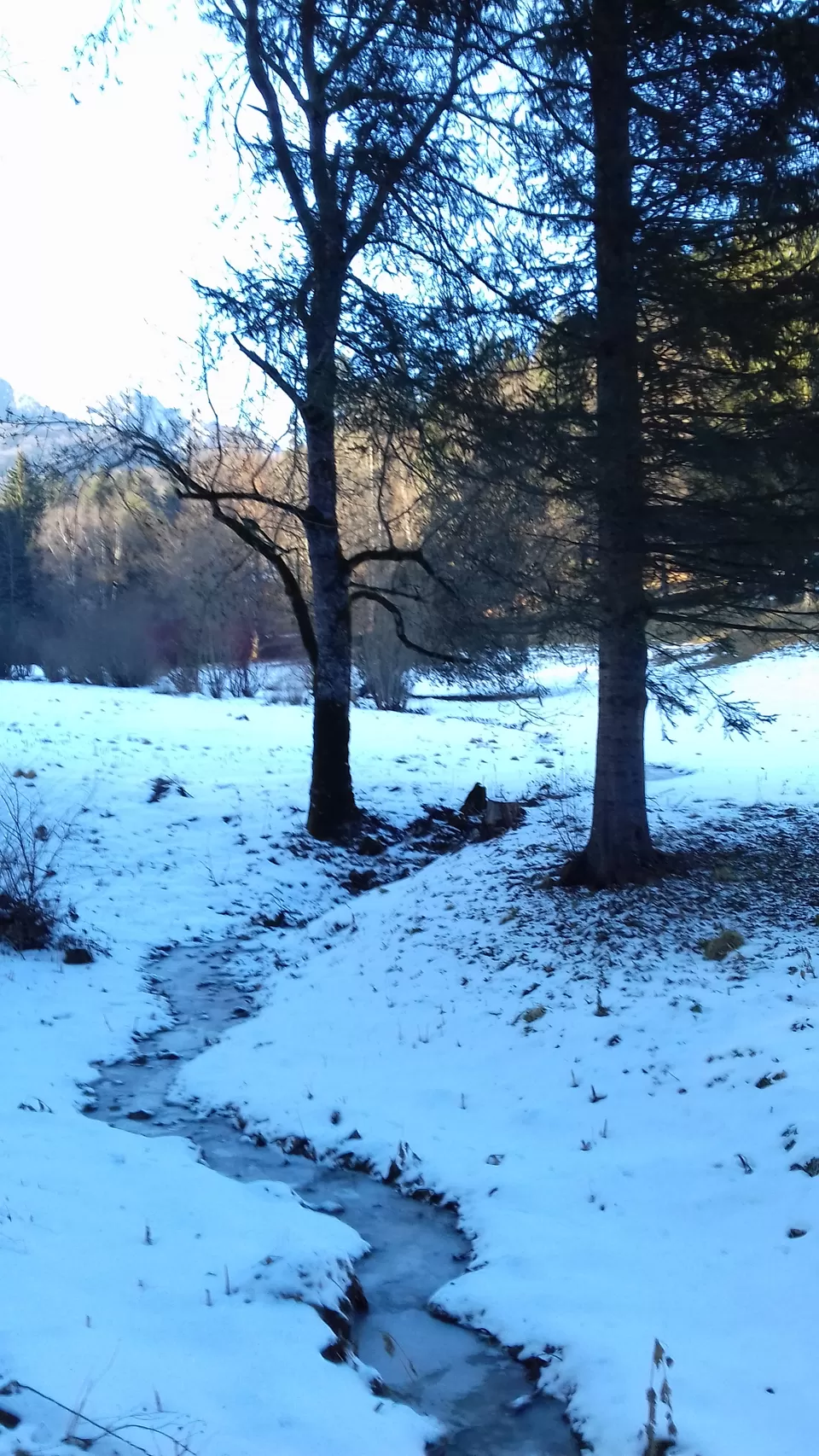 Photo of Peles Castle, Sinaia, Prahova, Romania by Pranav Harish