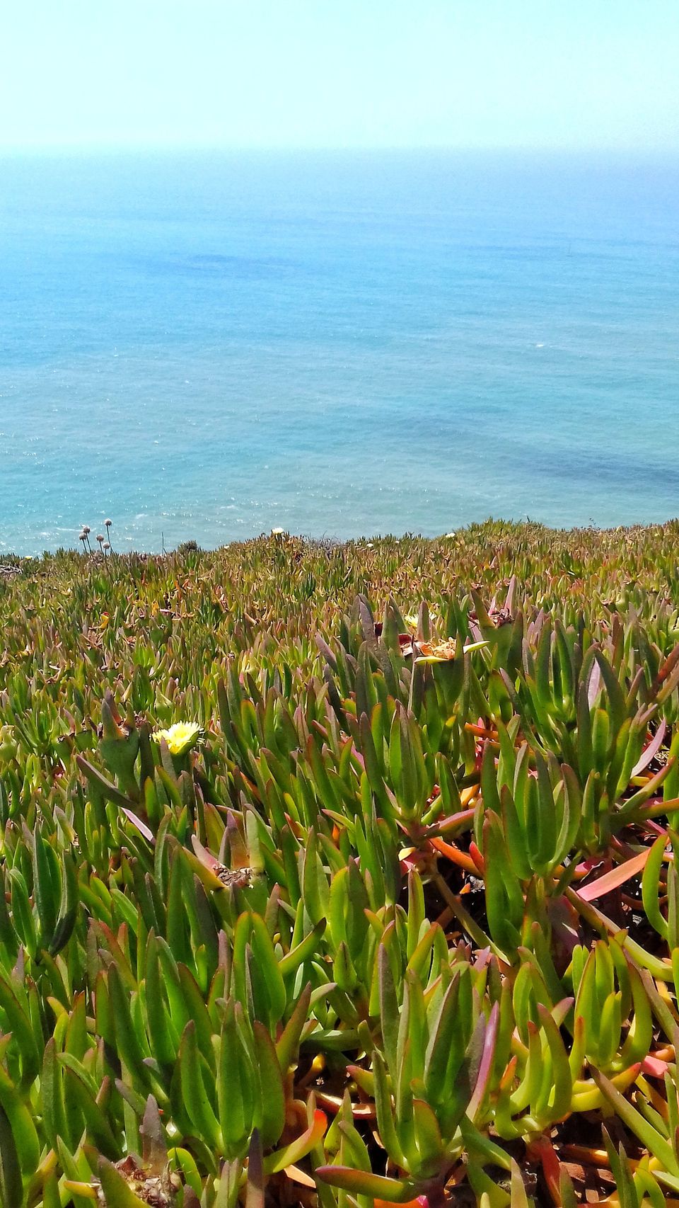Photo of Cabo da Roca - Westernmost point of Europe by Pranav Harish