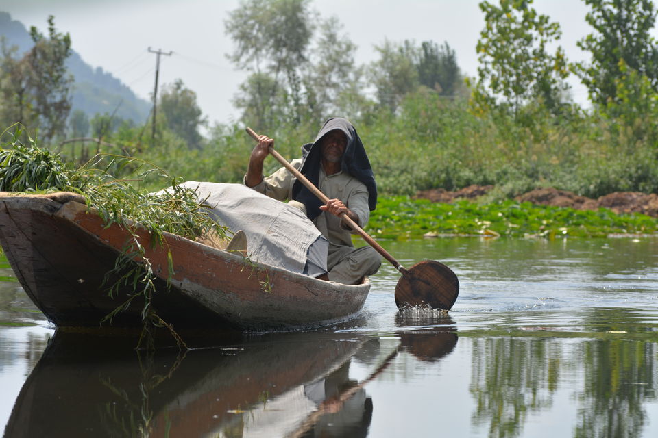 Photo of Srinagar by Pranav Harish