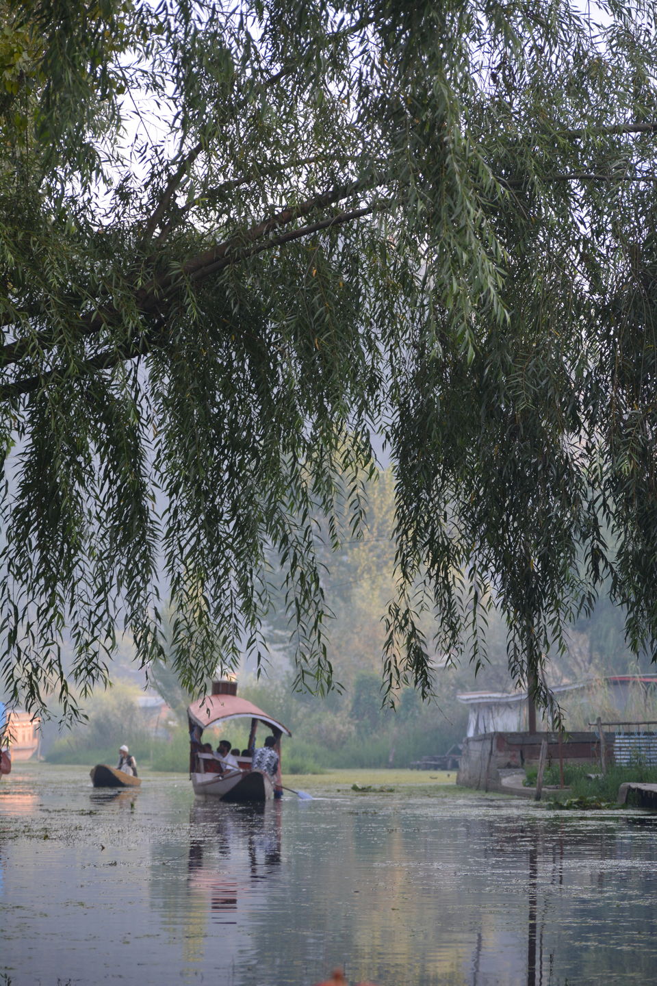 Photo of Srinagar by Pranav Harish