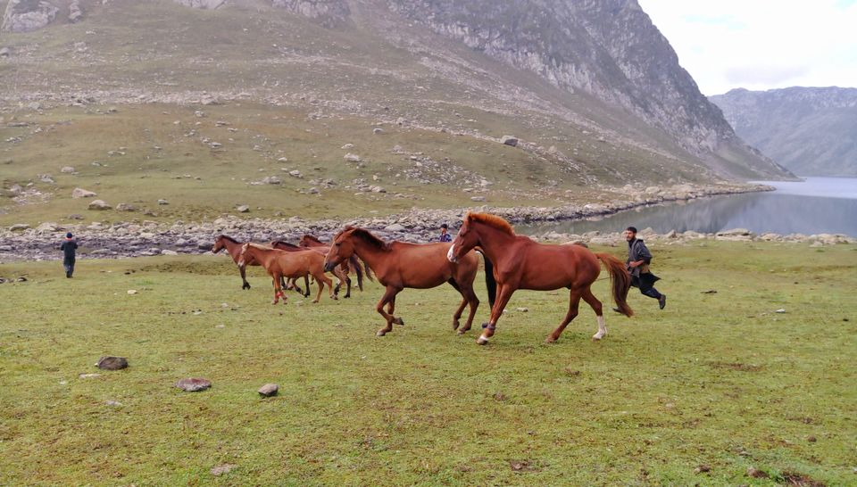 Photo of Kashmir: The Land of Greener Grass and Bluer Lakes #kashmirinphotos by Pranav Harish