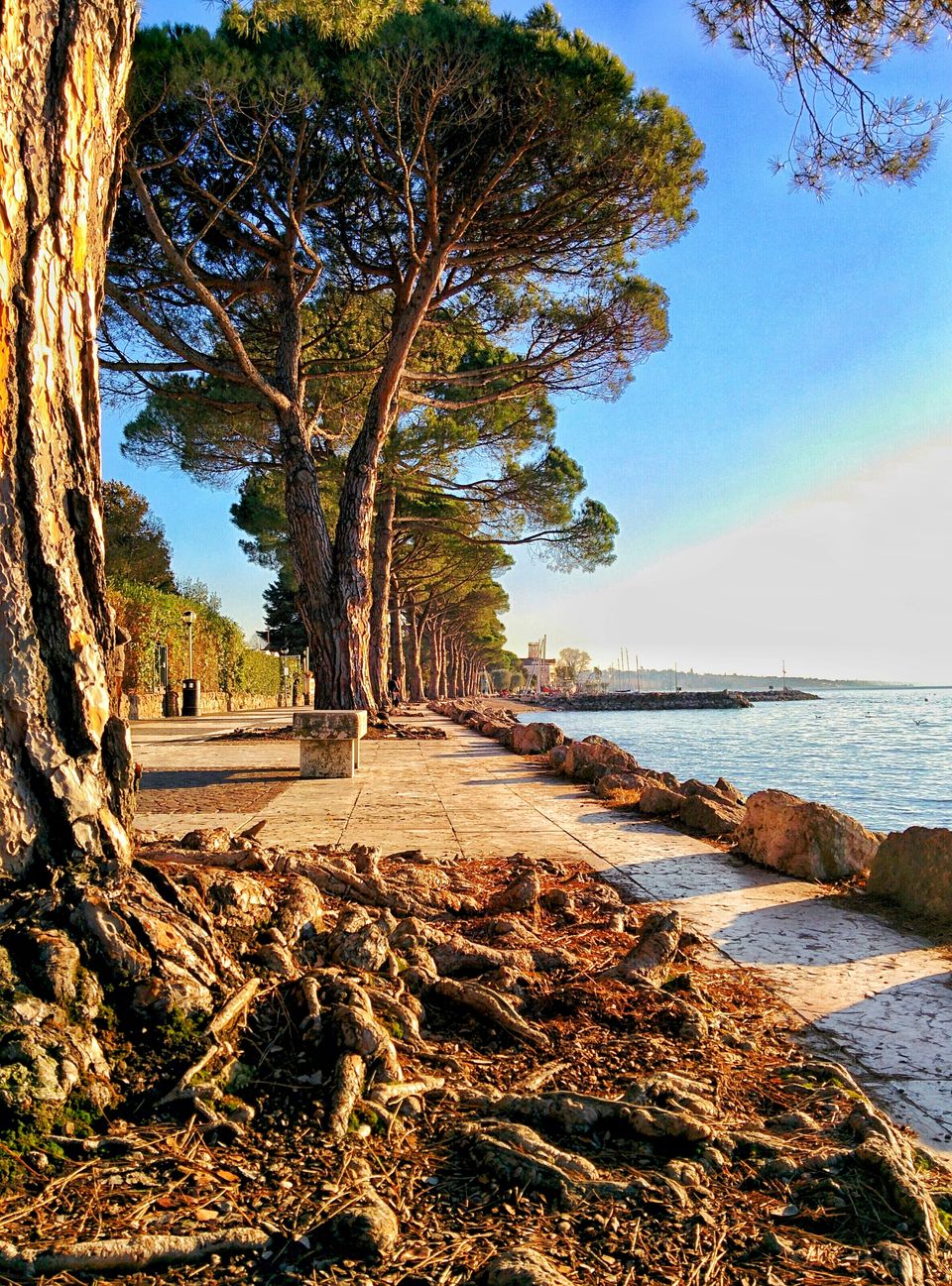Photo of Lake Garda: Italy's Place of Observation by Pranav Harish