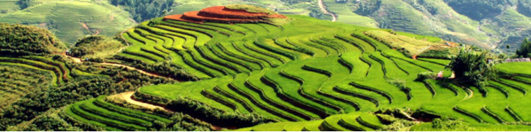 Sapa Vietnam Tour