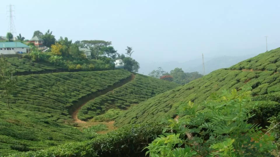 Photo of Munnar, Kerala, India by Hrishikesh Nalgirkar