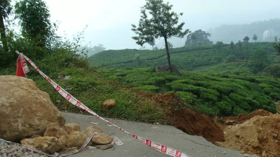 Photo of Munnar, Kerala, India by Hrishikesh Nalgirkar