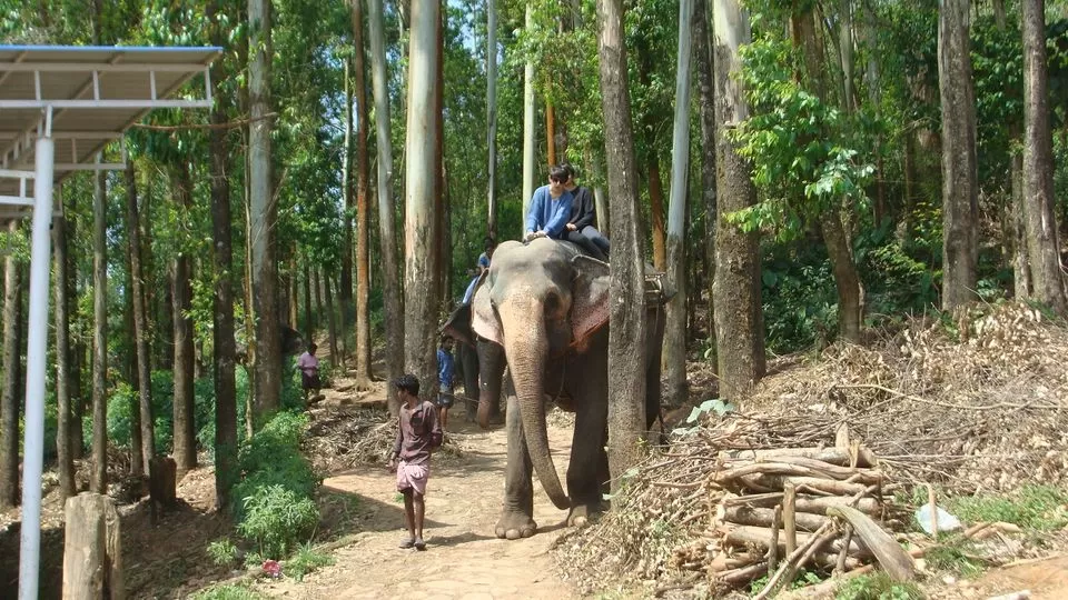 Photo of Munnar, Kerala, India by Hrishikesh Nalgirkar