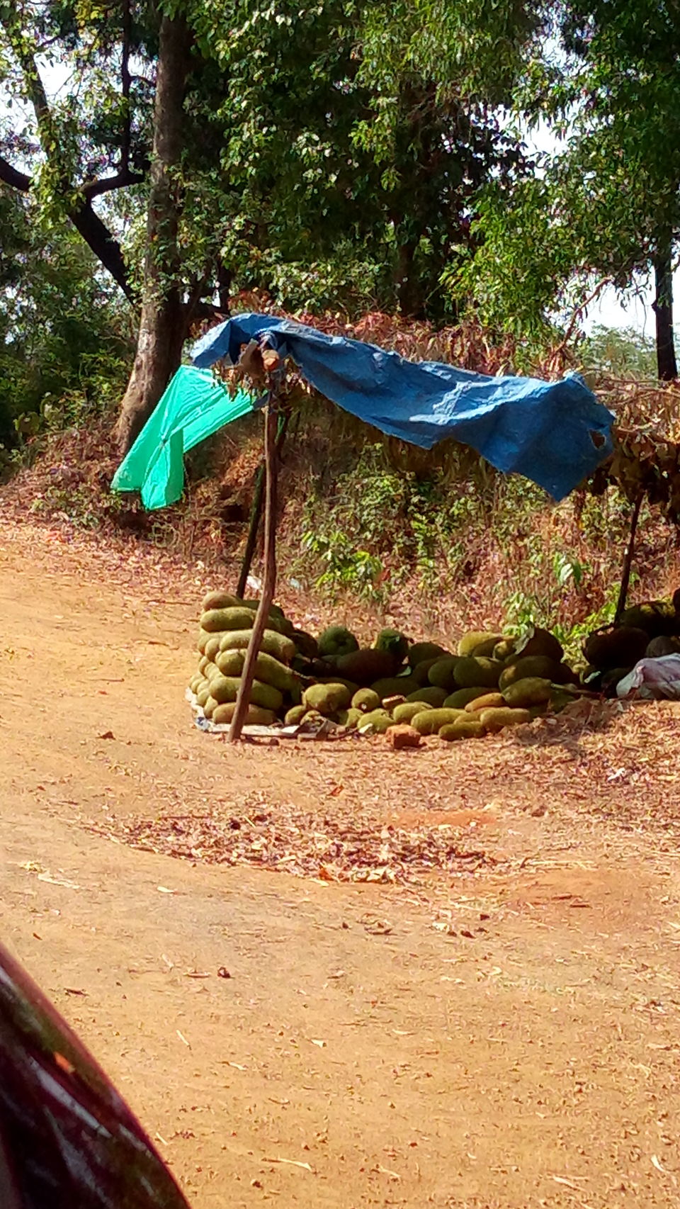 Photo of Travelogue: Pune - Velneshwar - Ganpatipule by Hrishikesh Nalgirkar