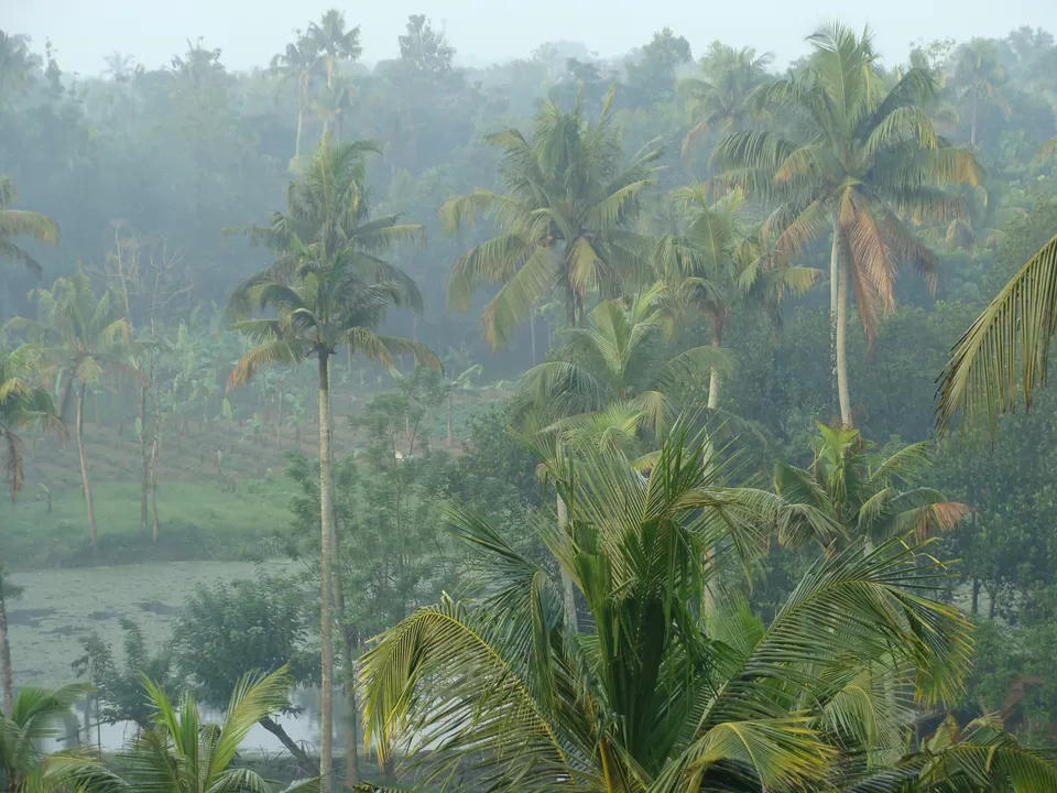 Photo of Enchanting Kerala: Cochin-Munnar-Thekkady by Hrishikesh Nalgirkar