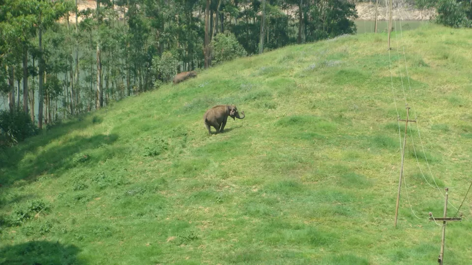 Photo of Thekkady, Kerala, India by Hrishikesh Nalgirkar