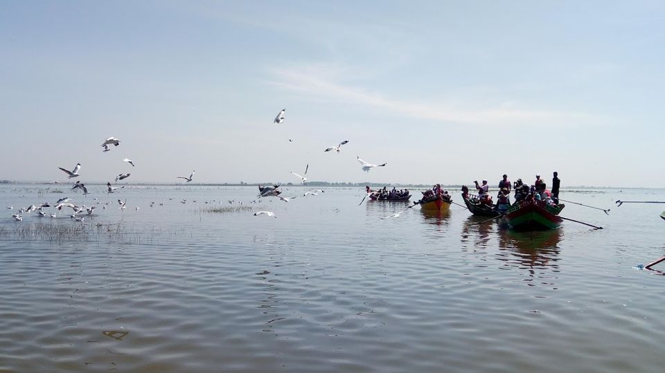 Photo of Bhigwan: Bird watching treat by Hrishikesh Nalgirkar